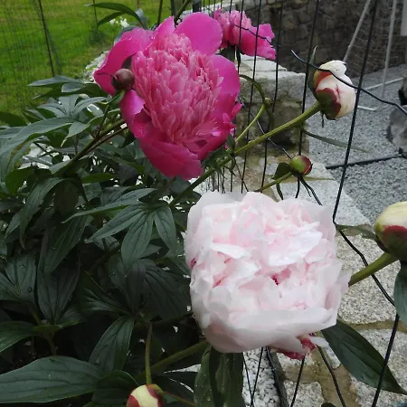 Dobranocka ホームステイ シクラルスカ・ポレンバ