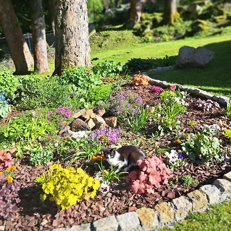 Dobranocka Homestay