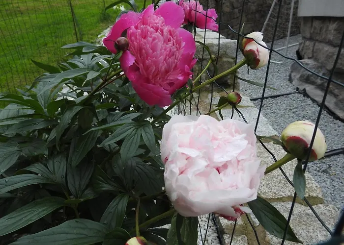 Dobranocka 홈스테이 스클라르스카포렘바